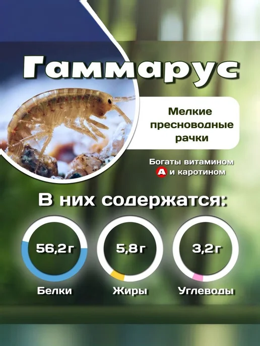 My pet Корм гаммарус тушка натуральный универсальный сухой, вариант, фото 8