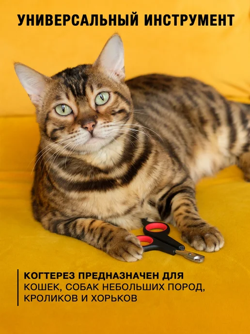 Когтерезка для кошек и собак, ножницы для когтей, черный, фото 3