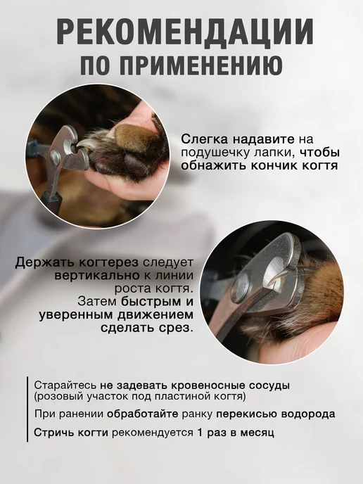 Когтерезка для кошек и собак, ножницы для когтей, черный, фото 4