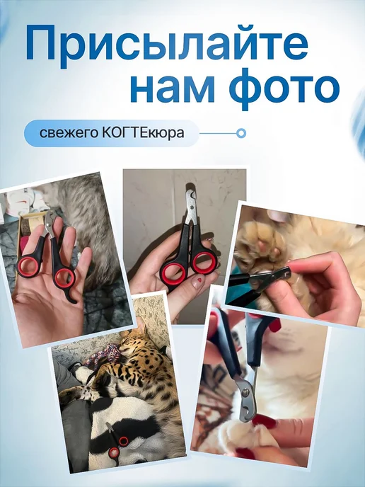 Когтерезка для кошек, ножницы для когтей, черный, фото 7