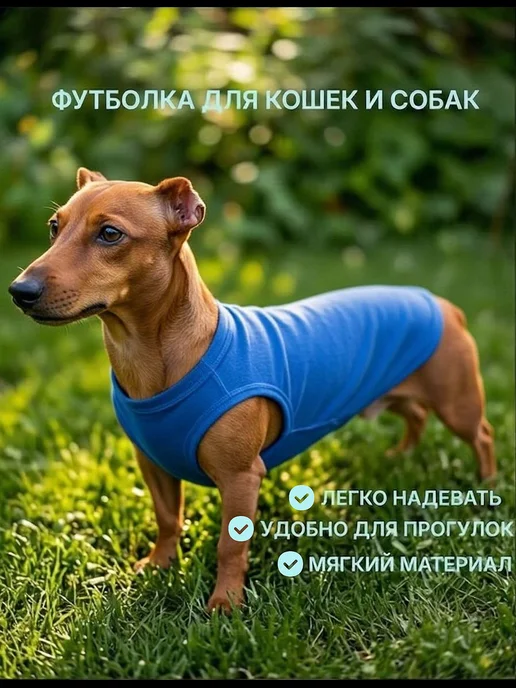 Жилет для кошек и собак, майка, одежда для животных, синий