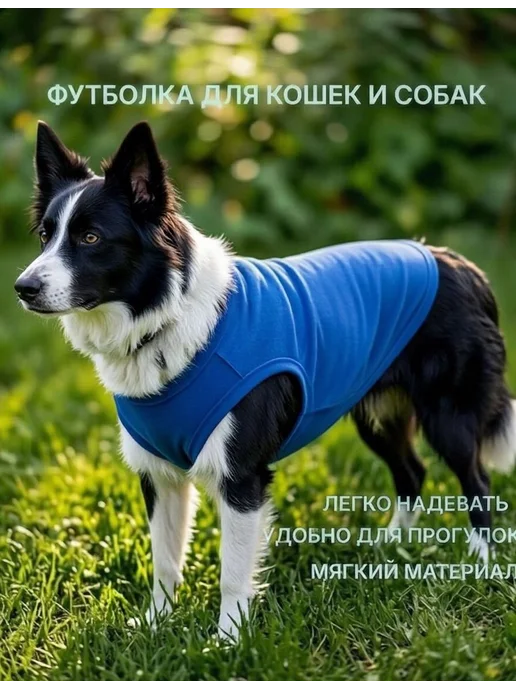 Жилет для кошек и собак, майка, одежда для животных, синий, фото 2