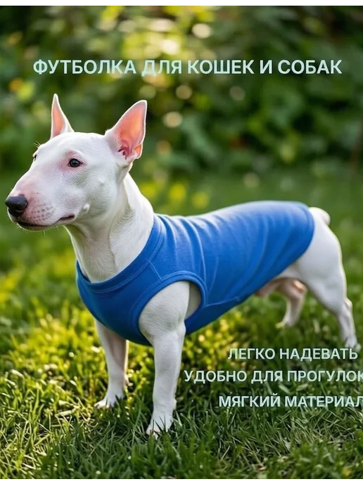 Жилет для кошек и собак, майка, одежда для животных, синий, фото 4