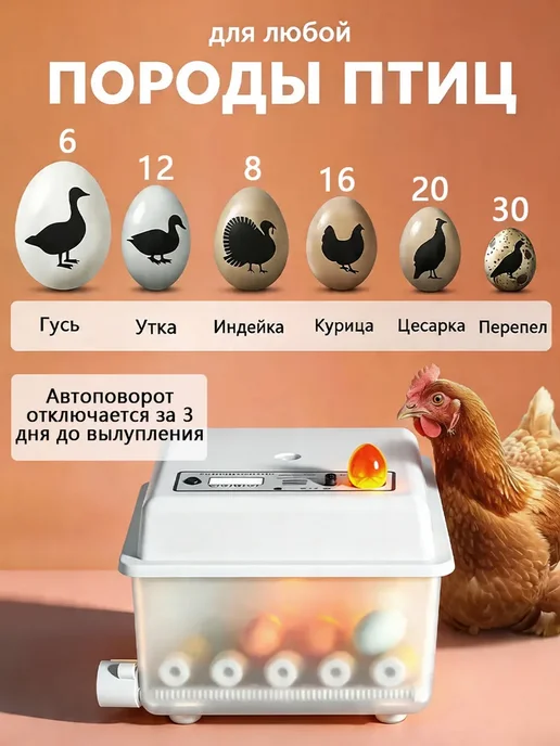 Инкубатор для 16 яиц автоматический с автоповоротом, вариант, фото 5