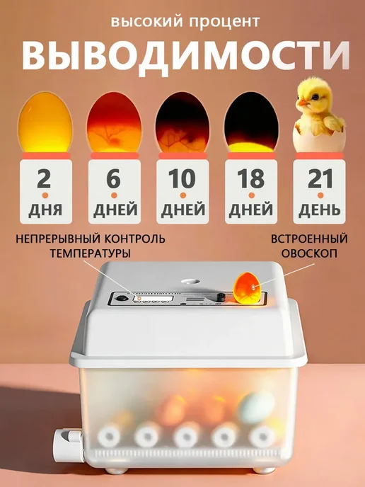 Инкубатор для 16 яиц автоматический с автоповоротом, вариант, фото 6