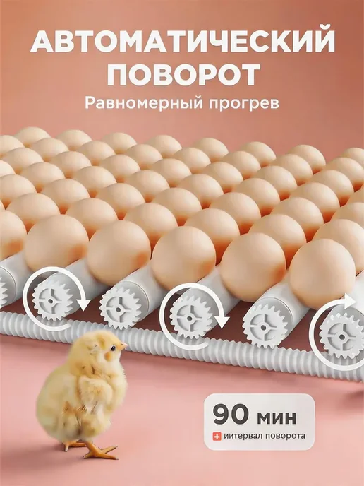 Инкубатор для 16 яиц автоматический с автоповоротом, вариант, фото 7
