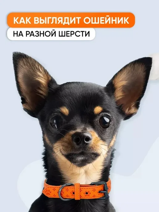 Оранжевый кожаный ошейник для собак и щенков всех пород, S, оранжевый, фото 5