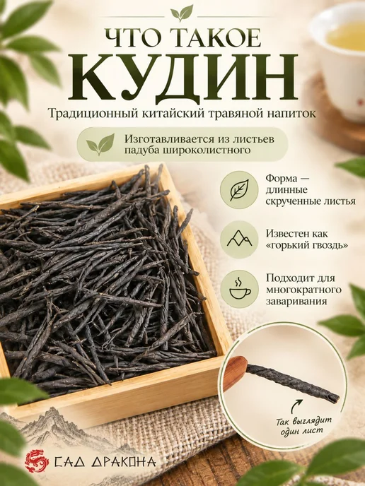 Кудин лист падуба широколистного, 100г, 100 г, фото 2