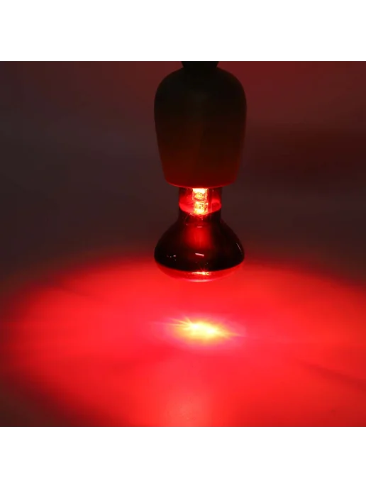 Свет для рептилий, вариант, фото 2