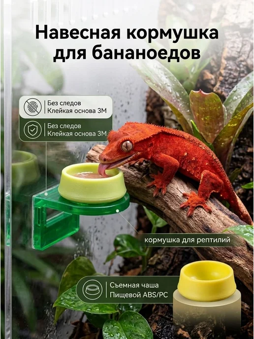Кормушка на присоске, противопобег, вариант, фото 2