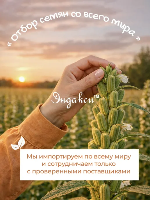 Смесь семян для салатов и выпечки 2кг, 2 кг, фото 7