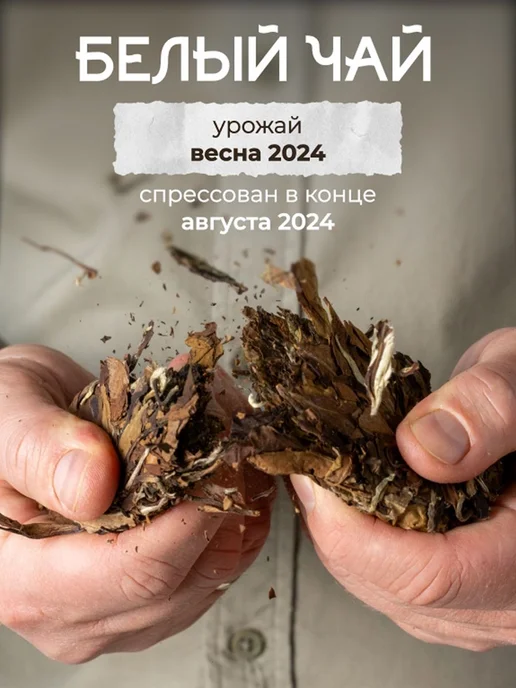 Белый чай "Лунный свет", китайский белый чай прессованный, белый, фото 3