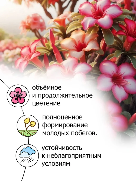 Удобрение от ПК Пуршат для адениума спрей ПМ 0,5 л, 500 мл, фото 4