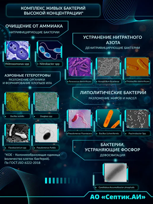 Экологически чистое средство для чистки септиков и туалетов, вариант, фото 3