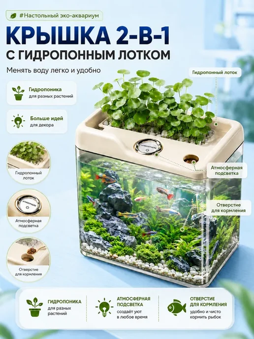 Настольный мини-аквариум, вариант, фото 2