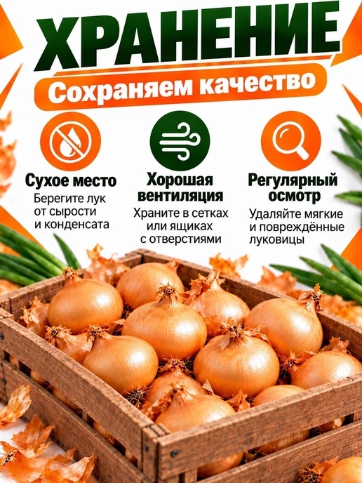 Лук севок для посадки Штуттгартер Ризен 1кг, 1 кг, фото 3
