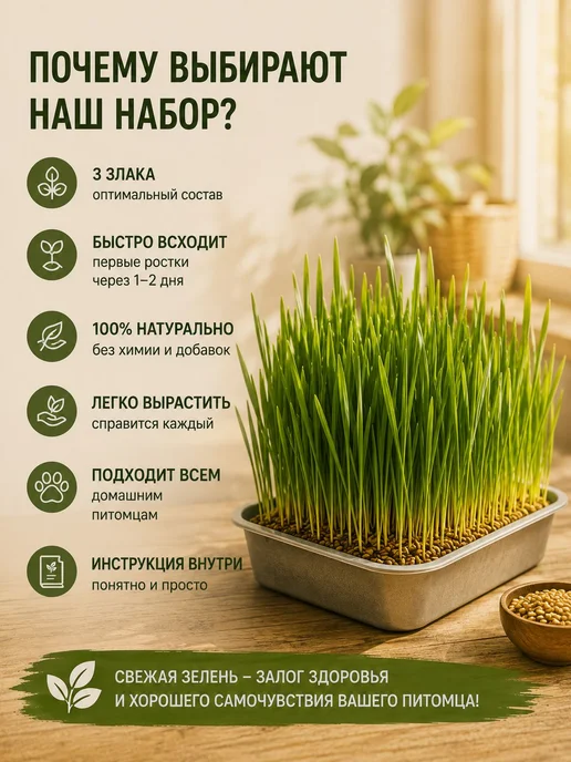 Пшеница для проращивания, лакомство для кошек, зерно для, вариант, фото 7