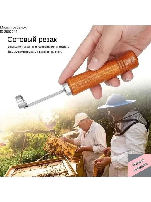 Набор для выращивания маток без прививки, резак для рас, вариант