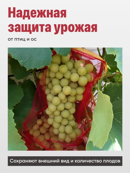 Садовые мешочки для винограда 44×25 см, полипропилен, 25 шт, 44x25 см, 25 шт, фото 2