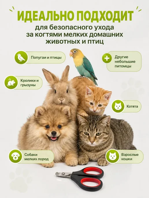 Когтерезка для кошек, ножницы для когтей, вариант, фото 5