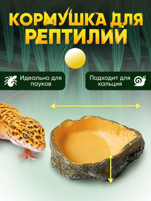 Кормушка для рептилий, вариант
