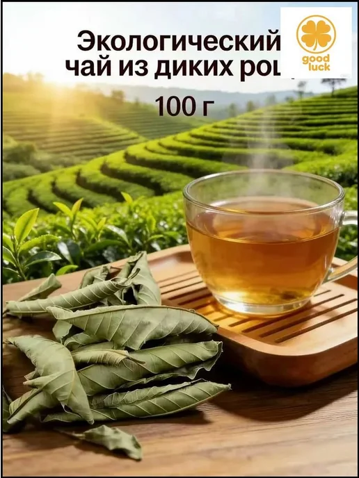 Сушеные листья гуанабаны, 100 г, 100 г, фото 3