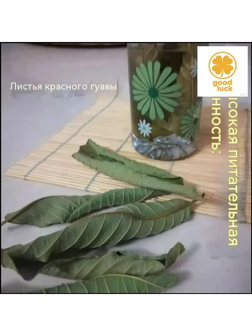 Сушеные листья гуанабаны, 100 г, 100 г, фото 4