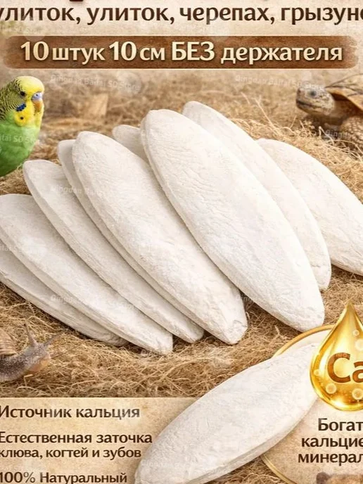 Игрушка для животных — панцирь каракатицы, 10 шт, 10 шт