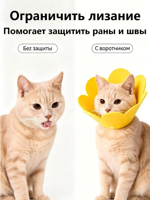 Защитный ошейник для кошек и собак Воротник животных, вариант, фото 4
