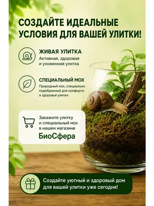 Мох сфагнум живой для виноградной улитки, 00 мл, 0 мл, фото 4