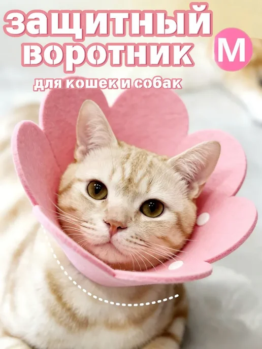 Защитный ошейник для кошек и собак Воротник животных, вариант