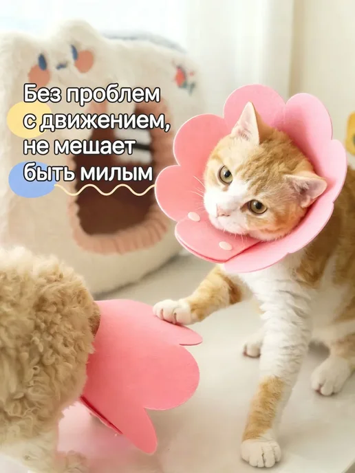 Защитный ошейник для кошек и собак Воротник животных, вариант, фото 4
