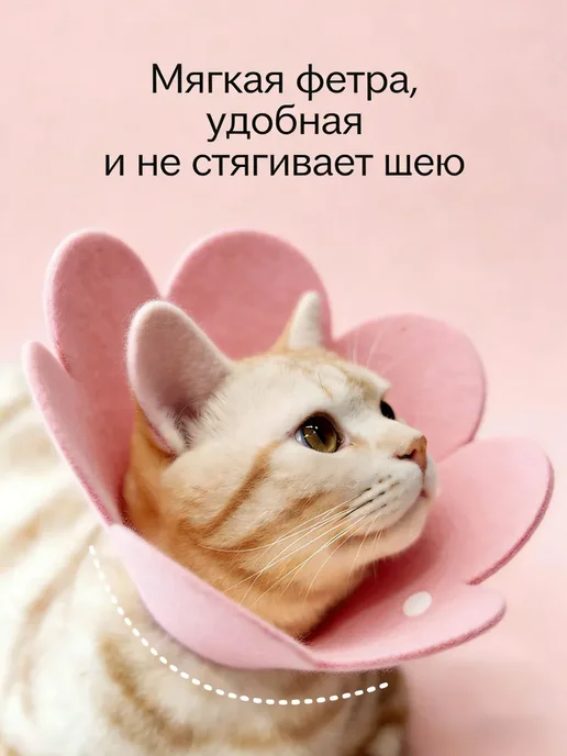 Защитный ошейник для кошек и собак Воротник животных, вариант, фото 6