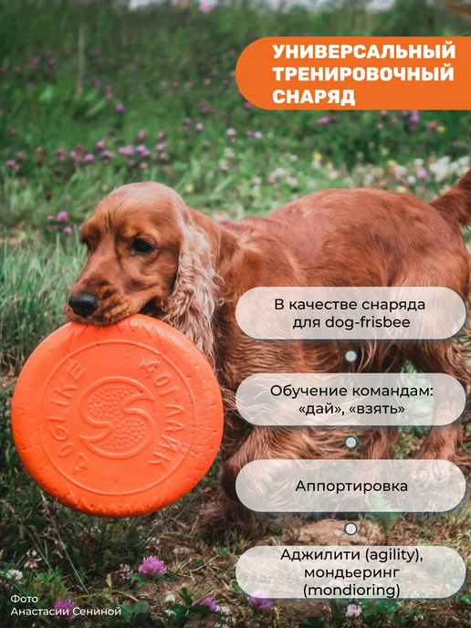 Набор Игрушка для животных Тарелка для собак диск, оранжевый, фото 3