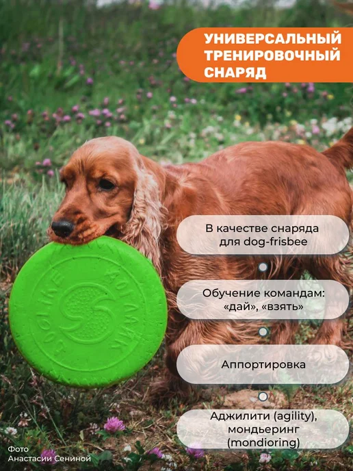 Игрушка для животных Тарелка для собак летающая 25, зеленый, фото 3