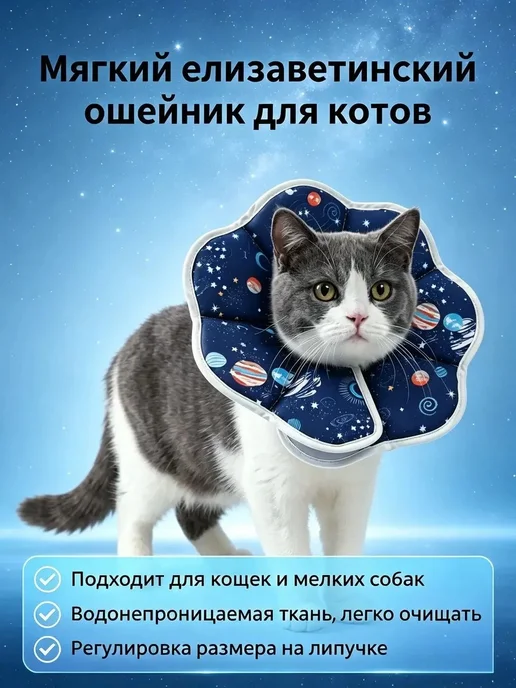 Защитный воротник для кошек, вариант