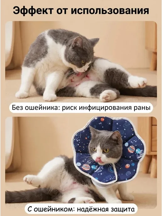Защитный воротник для кошек, вариант, фото 2