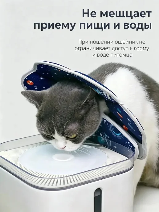 Защитный воротник для кошек, вариант, фото 4