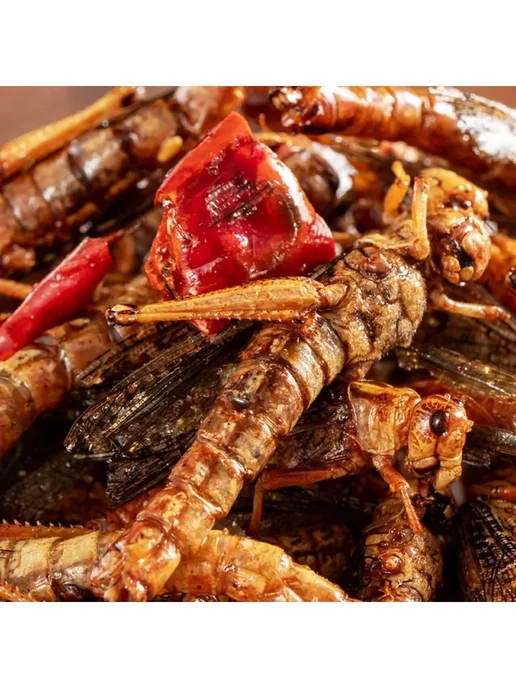 30 закуски саранчовые г острая Жареные, вариант, фото 3