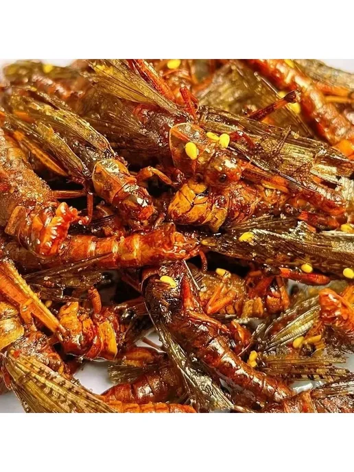 30 закуски саранчовые г острая Жареные, вариант, фото 4