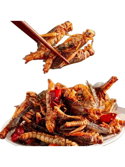 30 закуски саранчовые г острая Жареные, вариант, фото 6