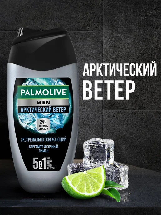 Парфюмированный гель для душа Мужской Men Арктический Ветер, 250 мл, фото 2
