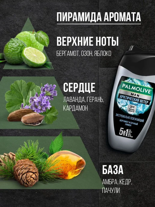 Парфюмированный гель для душа Мужской Men Арктический Ветер, 250 мл, фото 7