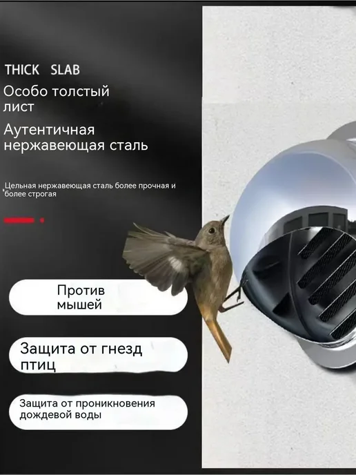Выход вентиляционный уличный 150 мм Стенной колпак с и 304, вариант, фото 3