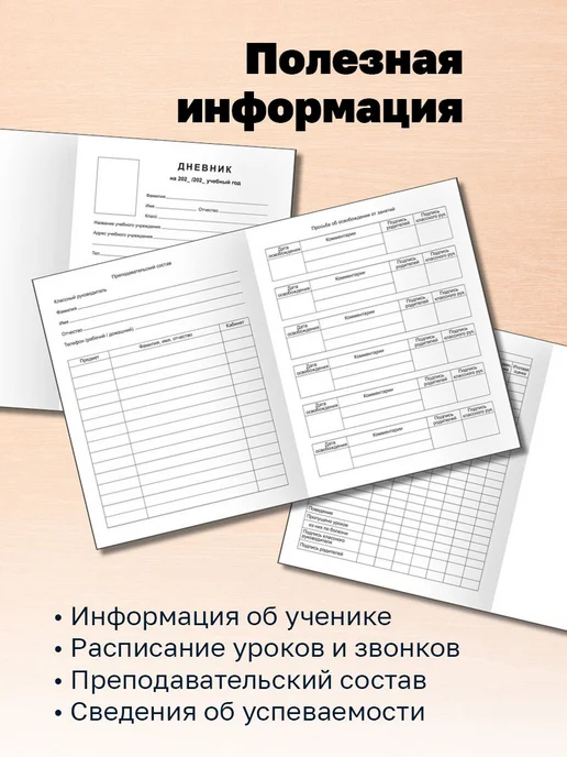 Дневник школьный 1-11 класс, 40 листов, твердая обложка, гер, вариант, фото 4