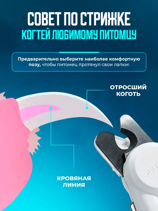Когтерез для кошек и собак с LED фонарем, вариант, фото 8