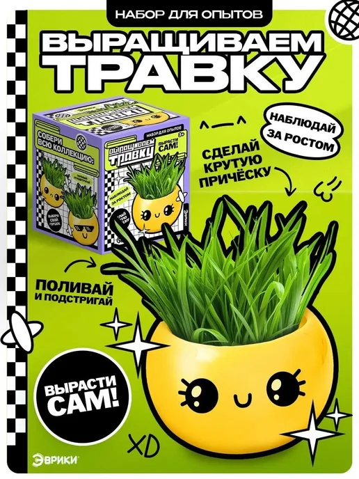 ИРИЙ САД Набор для выращивания живых растений травянчик Смайлик, вариант