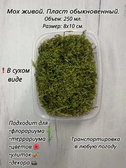 Мох живой для улиток