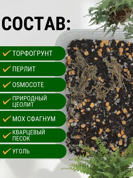 Грунт для папоротников 2л, 2 л, фото 2