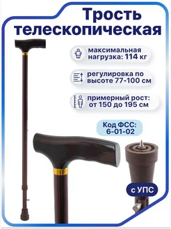 Трость